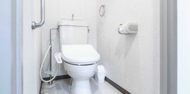 Comment choisir son WC japonais ?